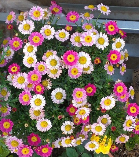 QQͼƬ20140506095939.jpg