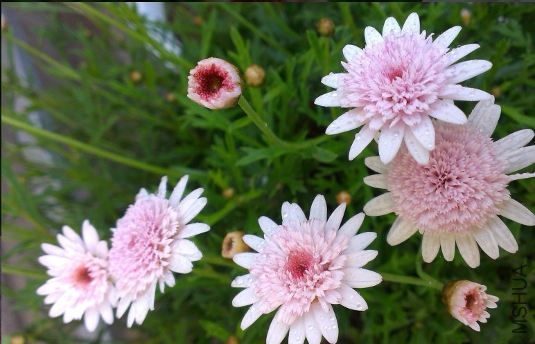QQͼƬ20140506095711.jpg
