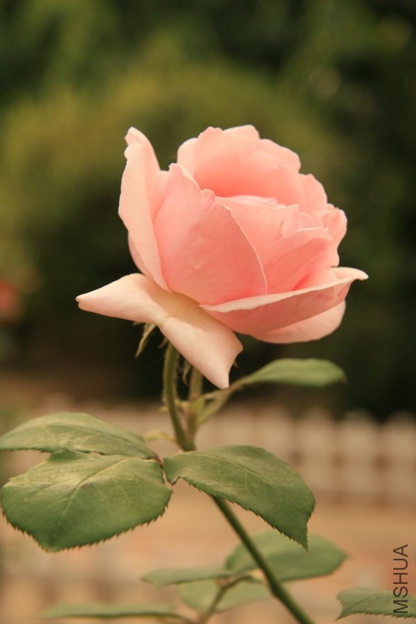 6bae51f7c966e0675c60089a.jpg