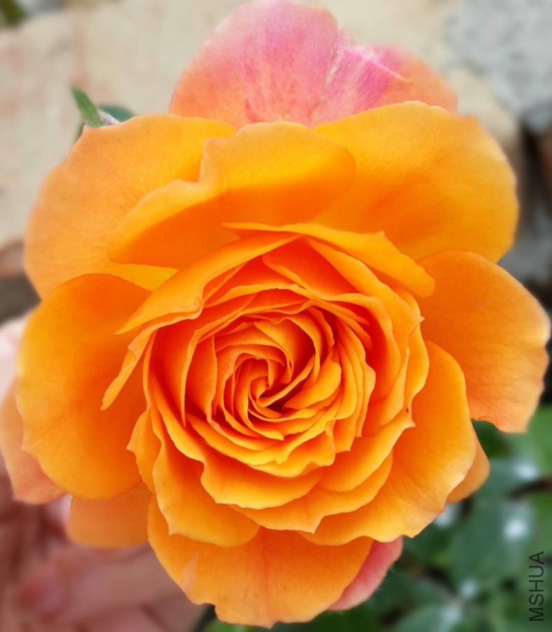 20140425_071940_����.jpg