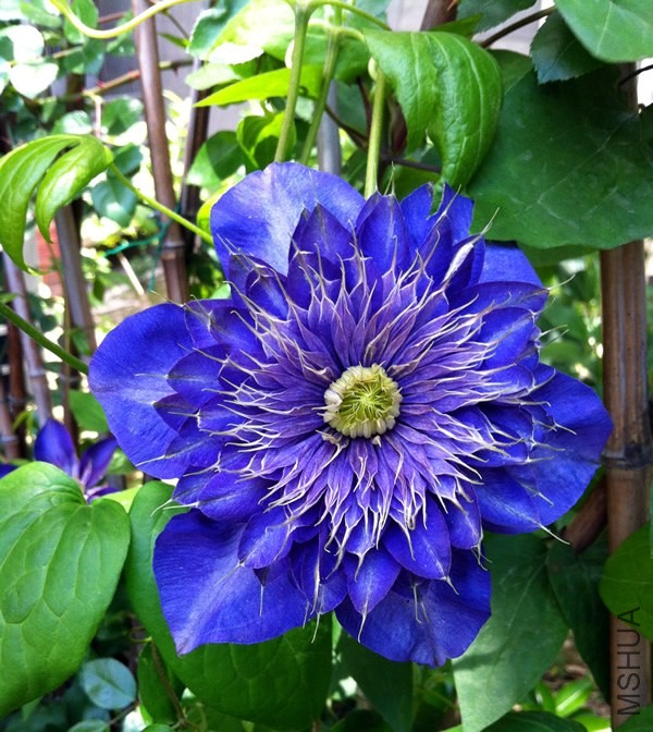������������20130501D.jpg