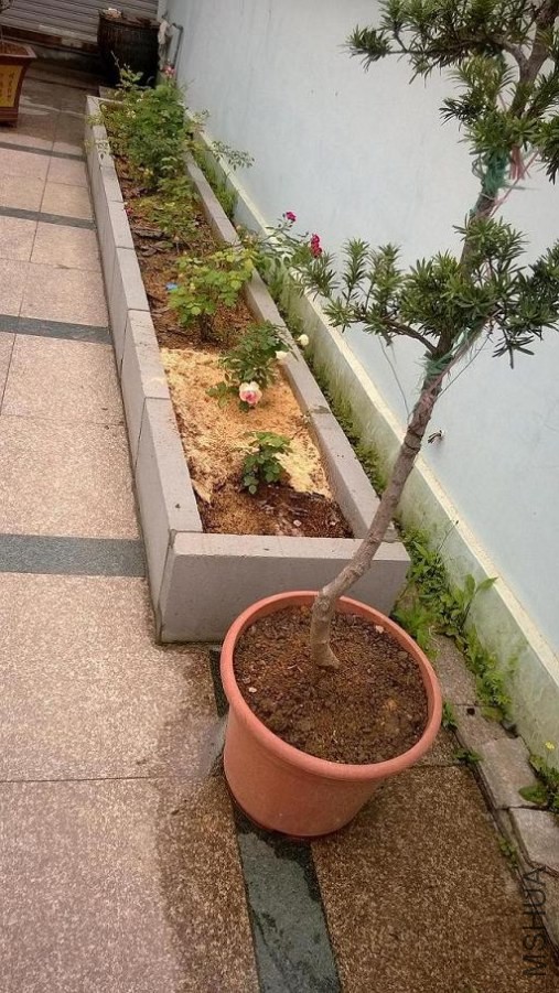 WP_20140427_021.jpg
