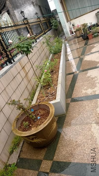 WP_20140427_022.jpg