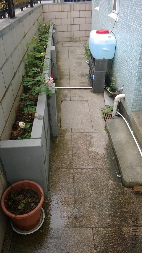 WP_20140427_027.jpg