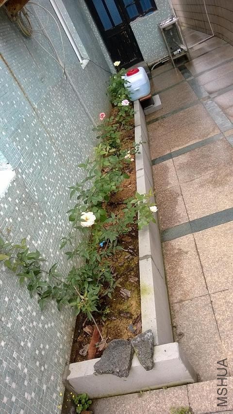 WP_20140427_026.jpg