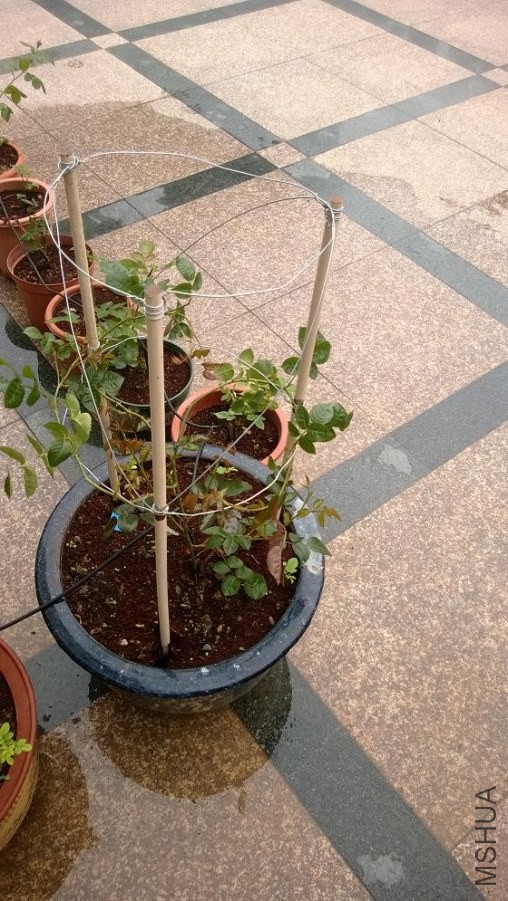 WP_20140427_030.jpg