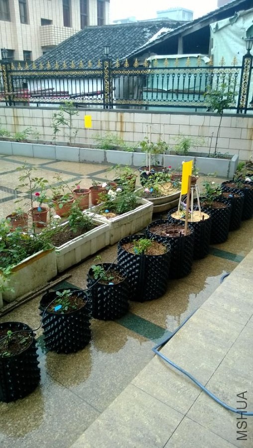 WP_20140427_034.jpg