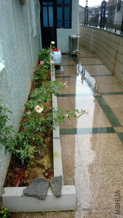 WP_20140427_035.jpg
