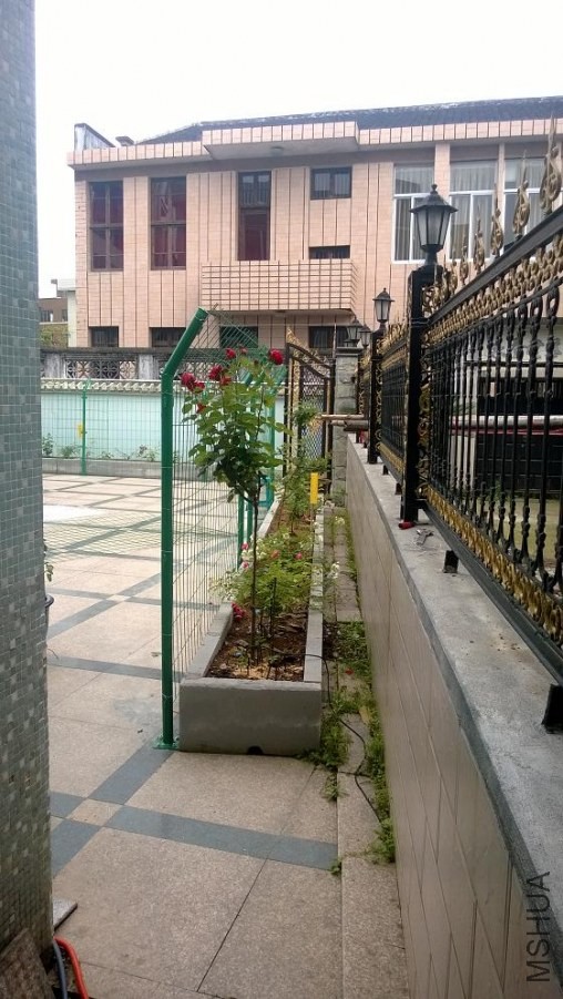 WP_20140505_007.jpg