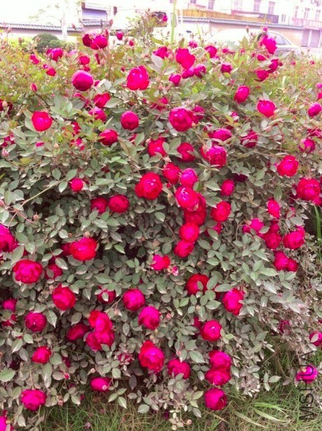 QQ��ͼ20140506161156.jpg
