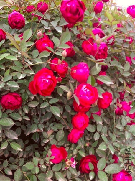 QQ��ͼ20140506161219.jpg