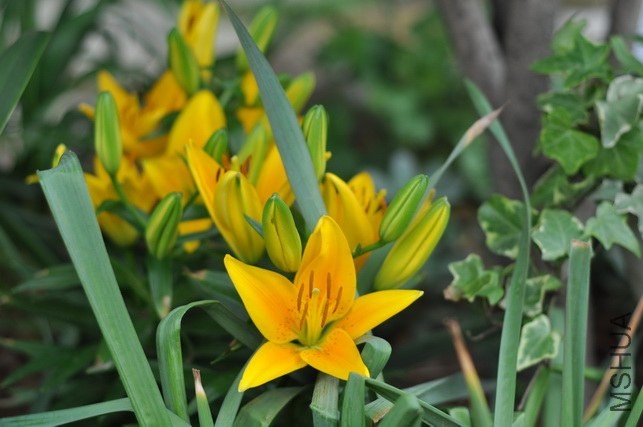 DSC_8427.JPG