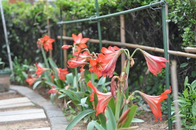DSC_8437.JPG