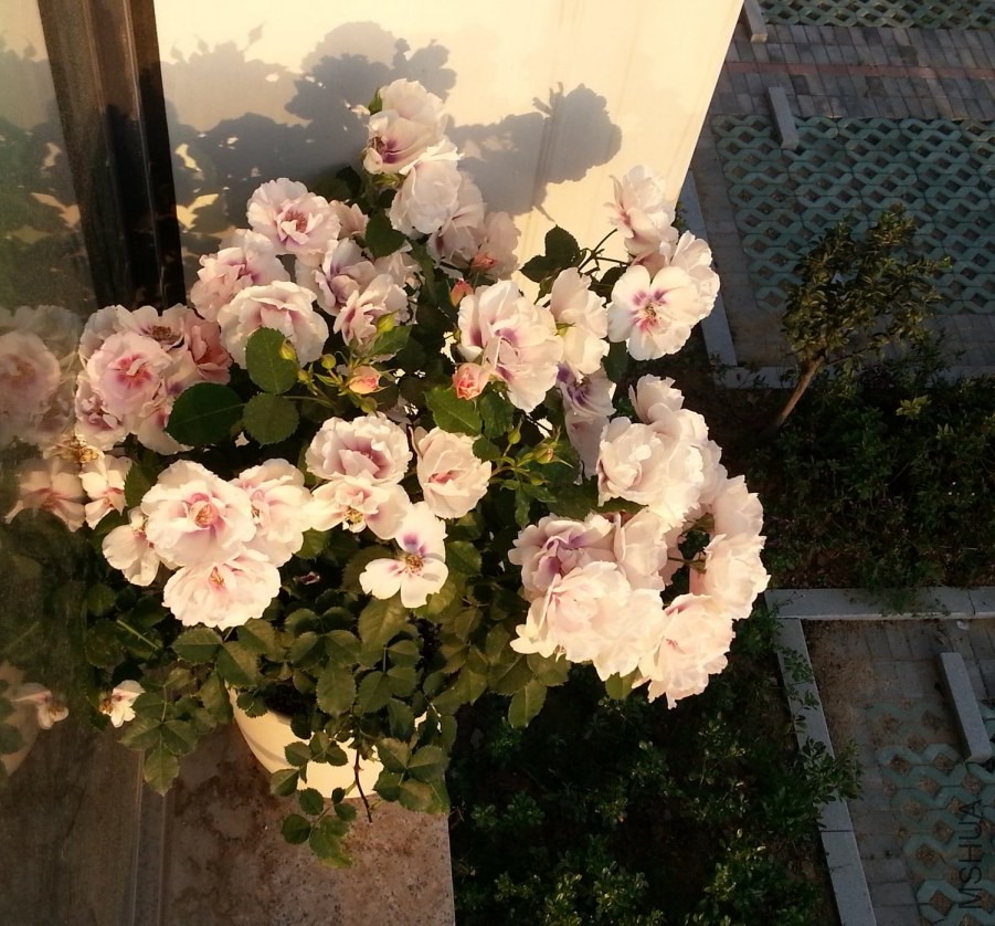 20140506_180740_Android_����.jpg