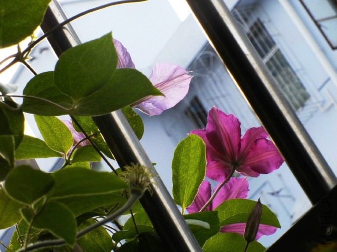 ���غͳ���