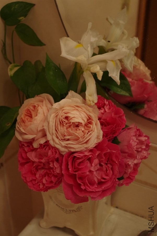 IMGP0892.JPG