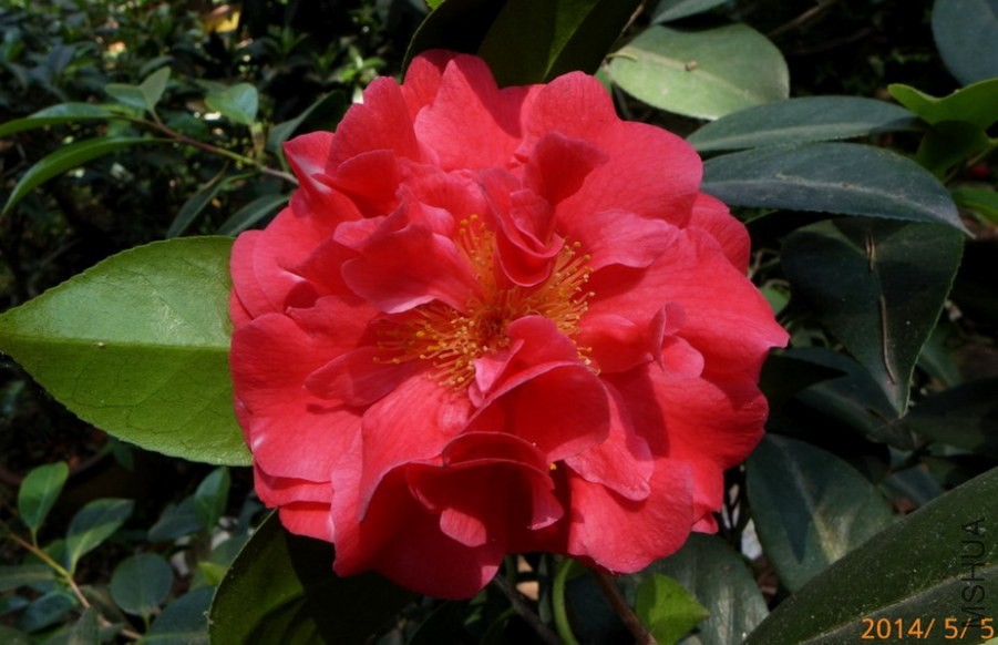 P1670640-.jpg