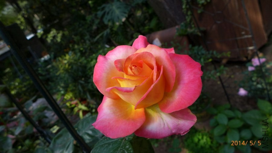 P1670176-.jpg