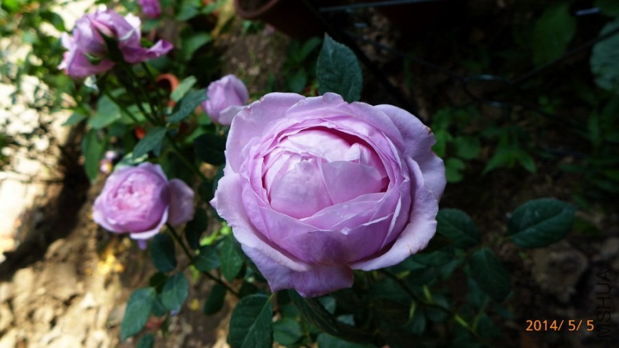 P1670128-.jpg