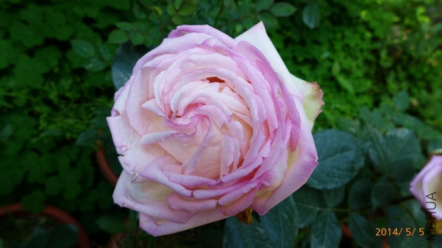 P1670052-.jpg