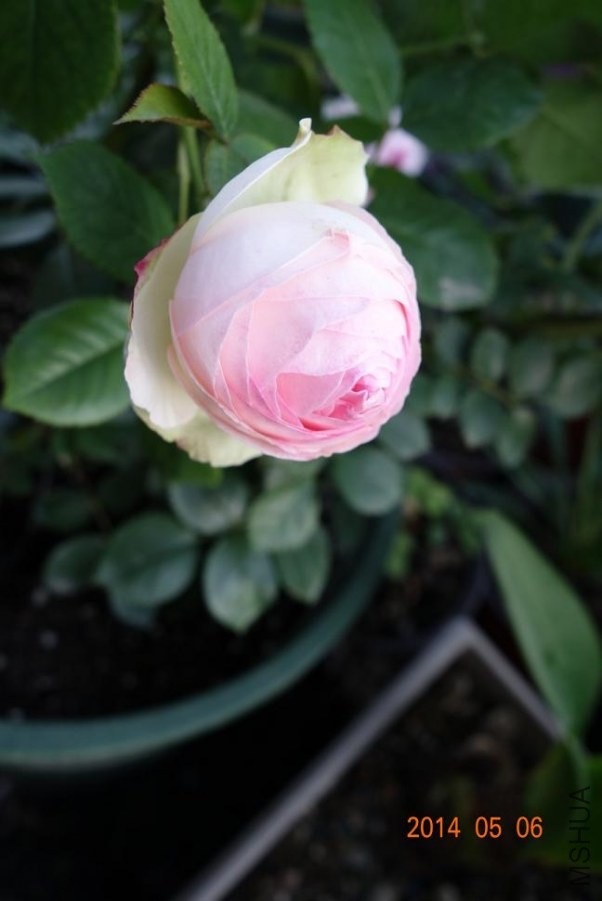 DSC01043.JPG