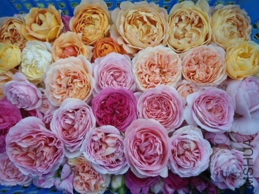 QQͼƬ20140507094043.jpg