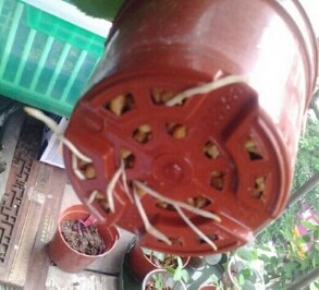 20140426_171440266.jpg