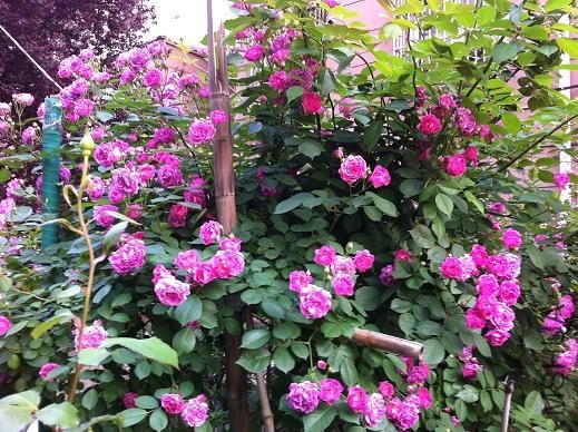 ��Ƭ 023.jpg