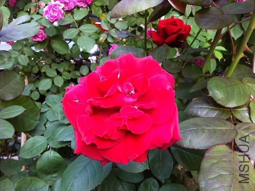 ��Ƭ 025.jpg