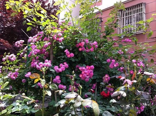 ��Ƭ 037.jpg