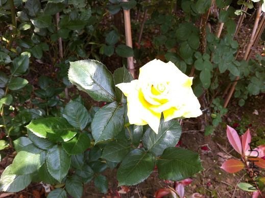 ��Ƭ 039.jpg