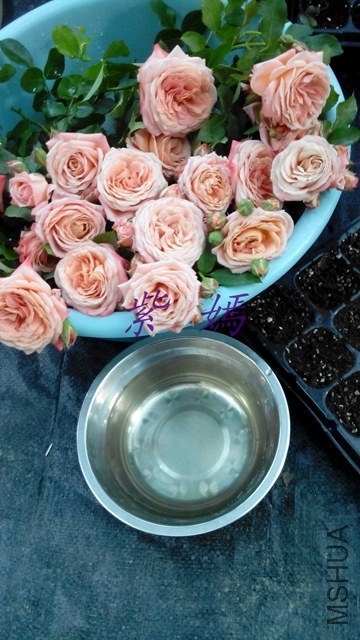 ׼������