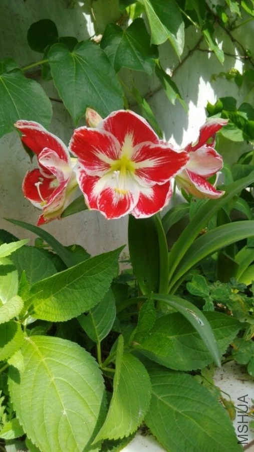 QQͼƬ20140507161159.jpg