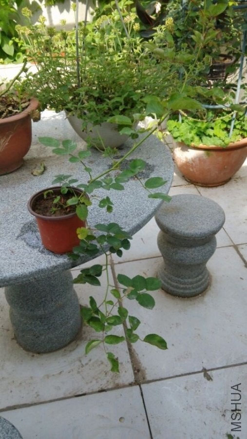 QQͼƬ20140507161207.jpg