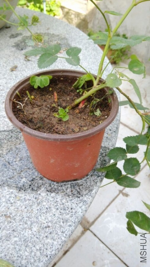 QQͼƬ20140507161215.jpg