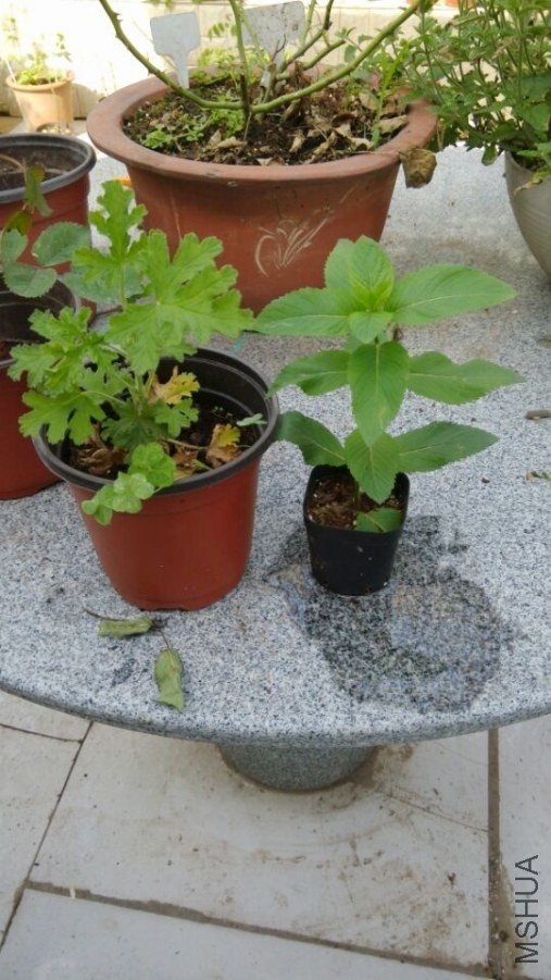QQͼƬ20140507161221.jpg