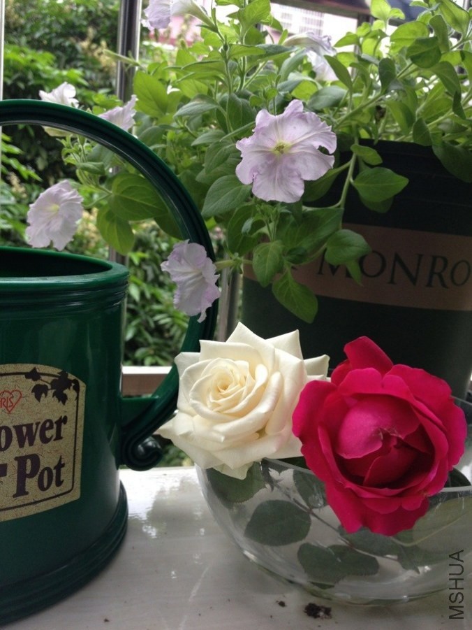 QQͼƬ20140507172528.jpg