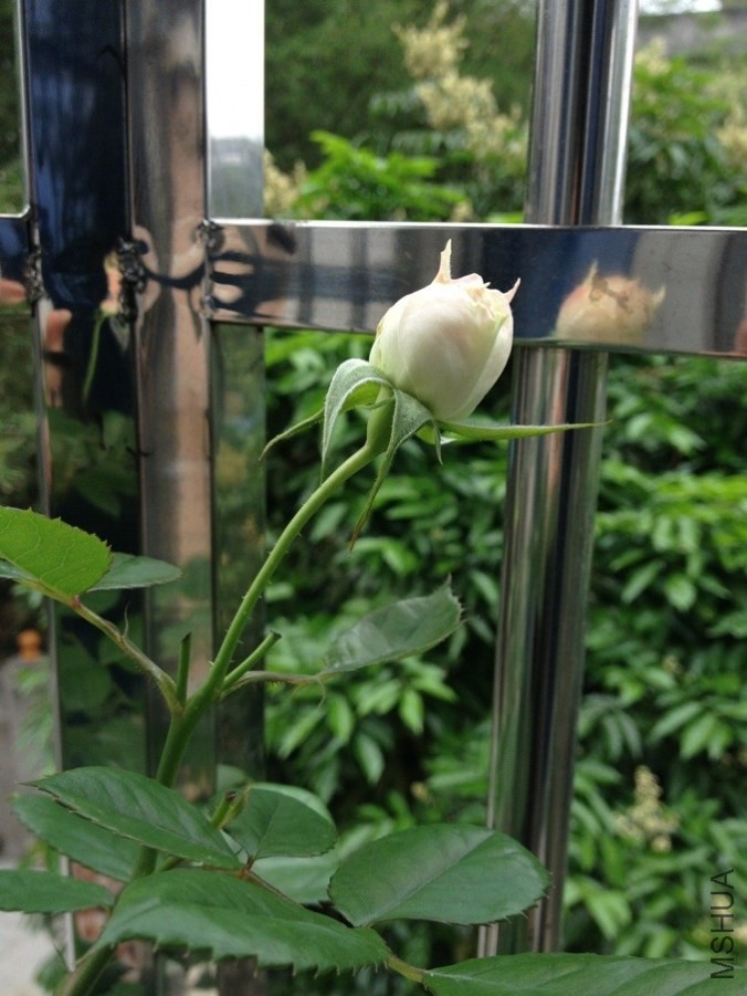 QQͼƬ20140507172539.jpg
