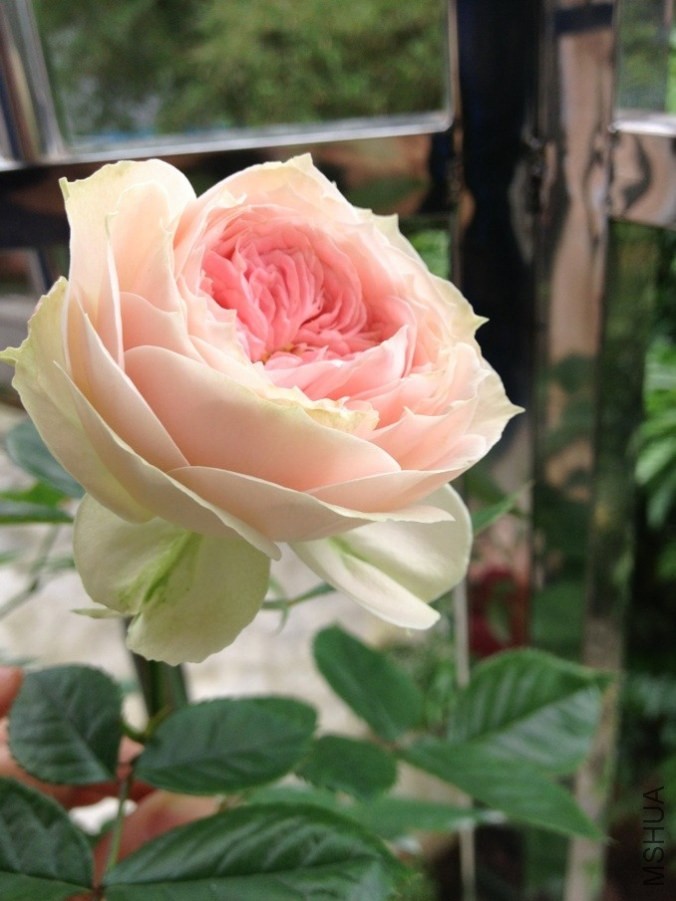 QQͼƬ20140507172543.jpg