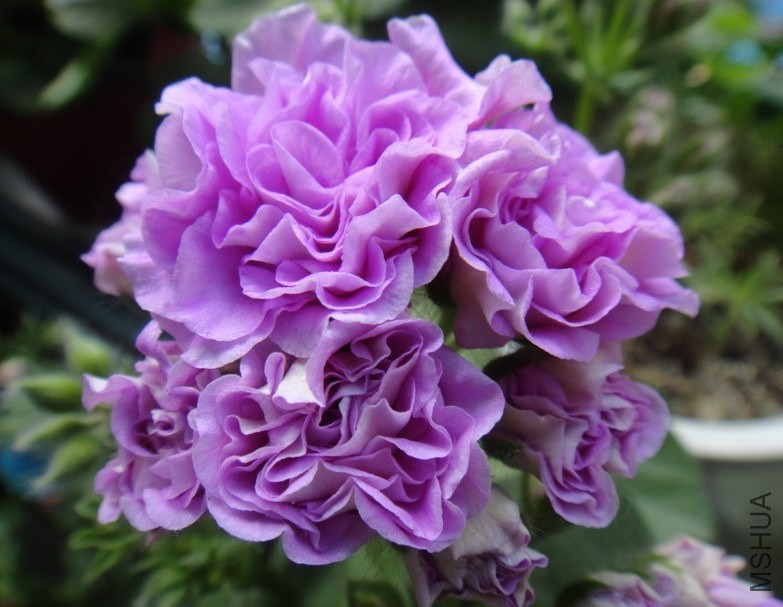 QQ��ͼ20140507200742.jpg