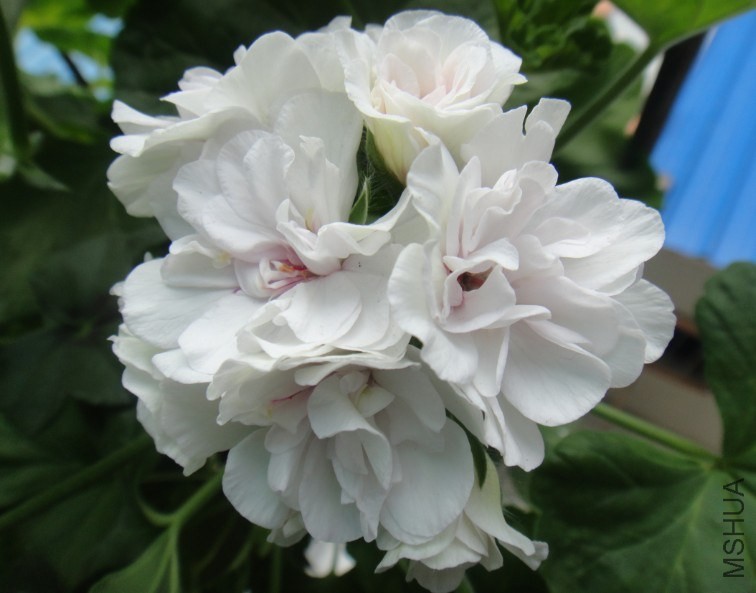 QQ��ͼ20140507200757.jpg