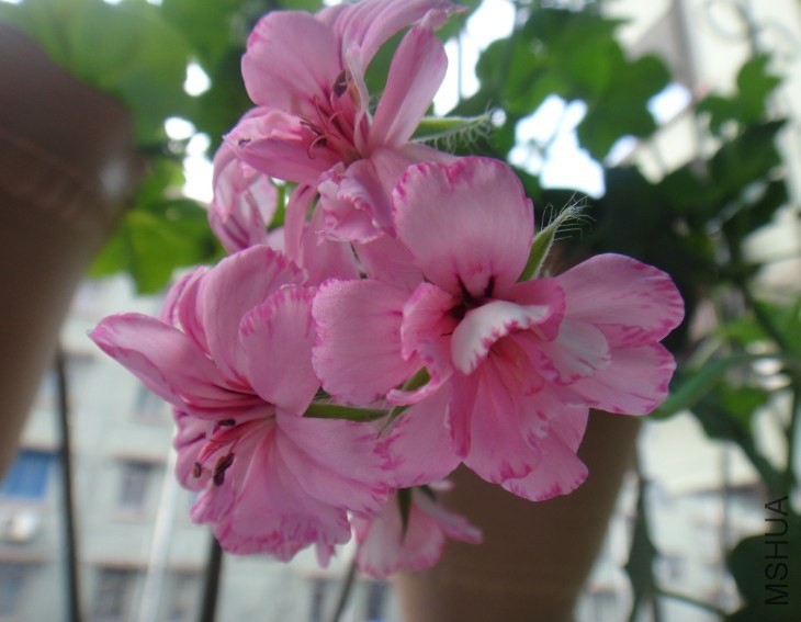QQ��ͼ20140507200841.jpg
