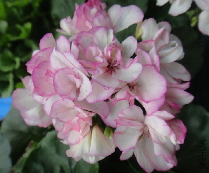 QQ��ͼ20140507200856.jpg
