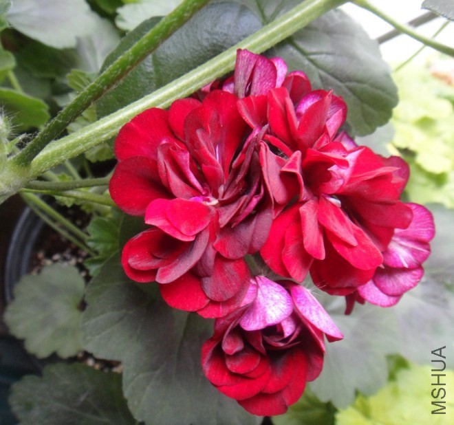 QQ��ͼ20140507200921.jpg