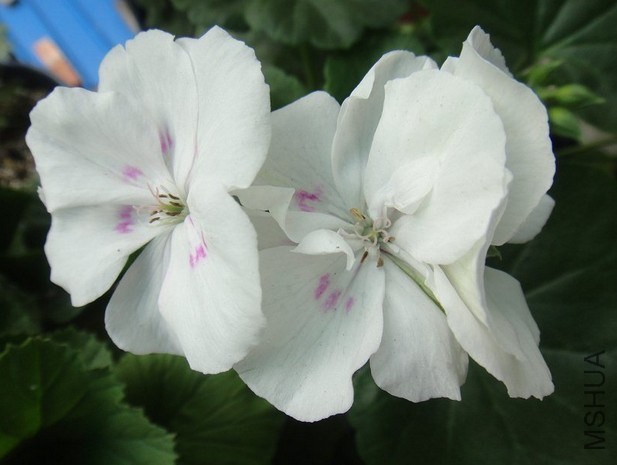 QQ��ͼ20140507201548.jpg