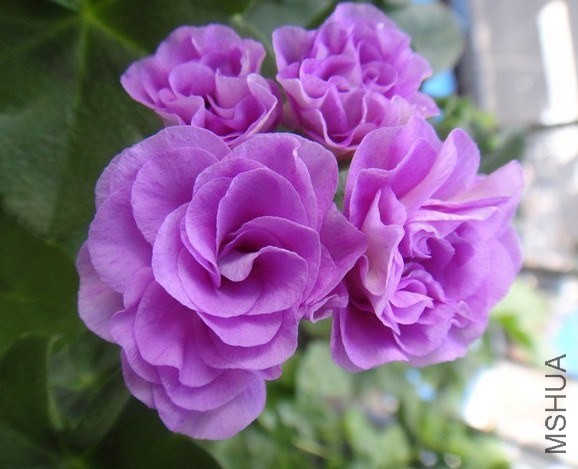 QQ��ͼ20140507201446.jpg