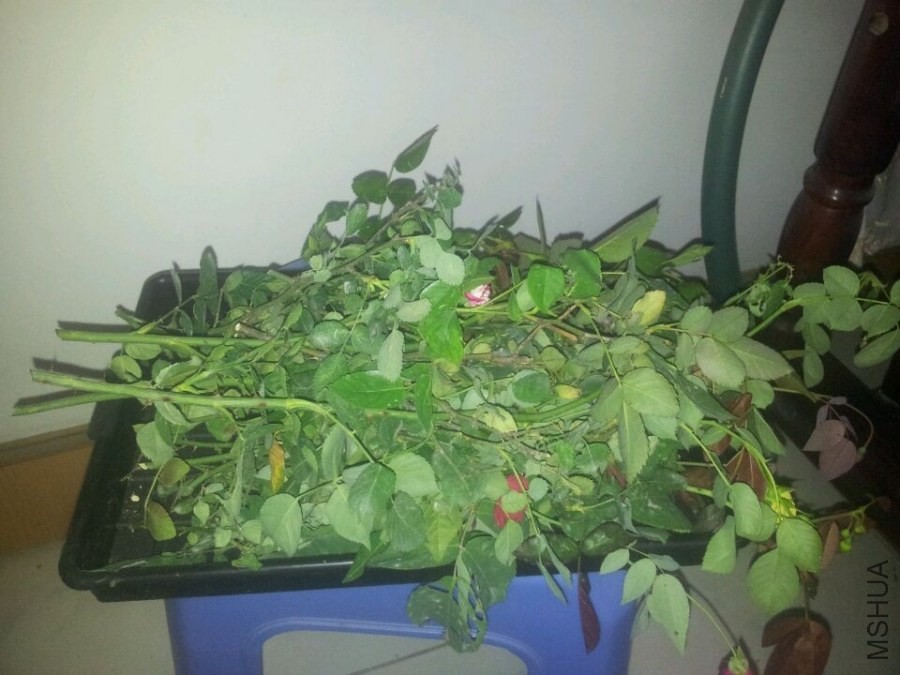 QQͼƬ20140507211116.jpg