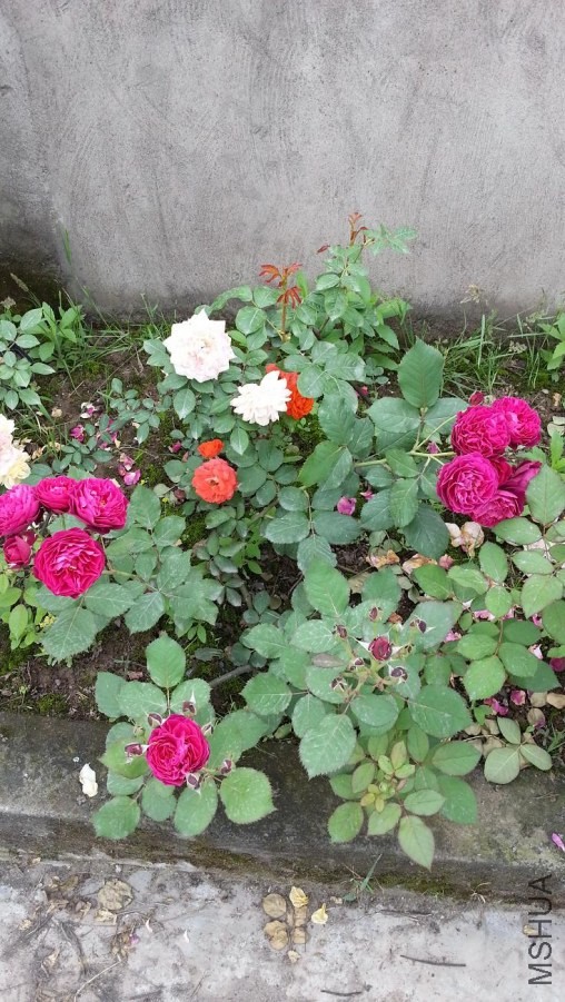20140428_165211.jpg