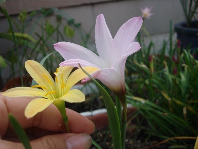 QQͼƬ20140507210011.jpg