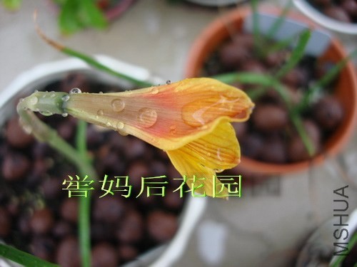 DSC07165_������С.jpg
